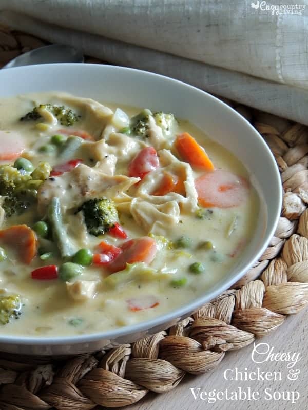 Cheesy Chicken and Vegetable Soup