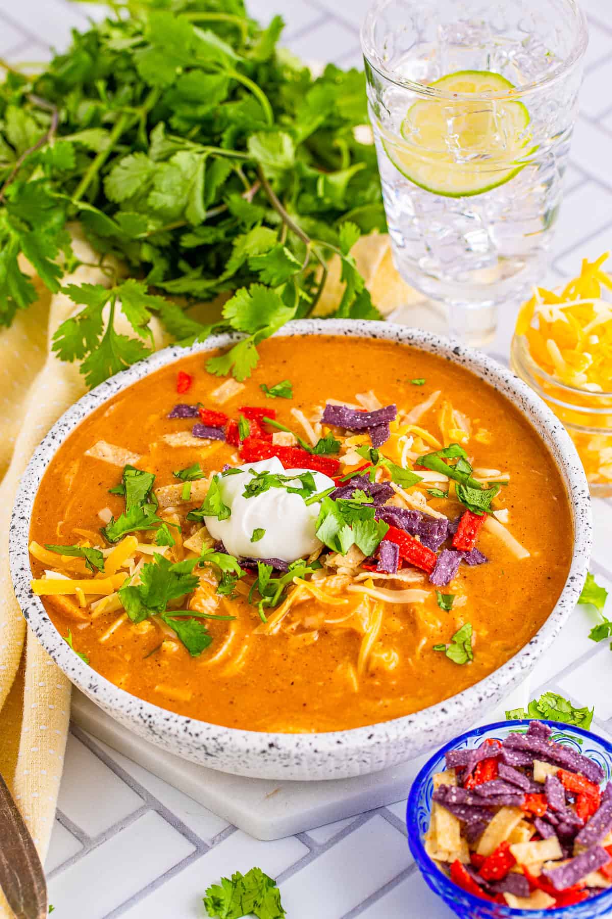 Copycat Chili’s Chicken Enchilada Soup (Tortilla Soup Recipe)