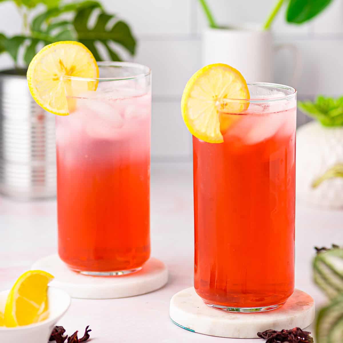 Hibiscus Tea Recipe