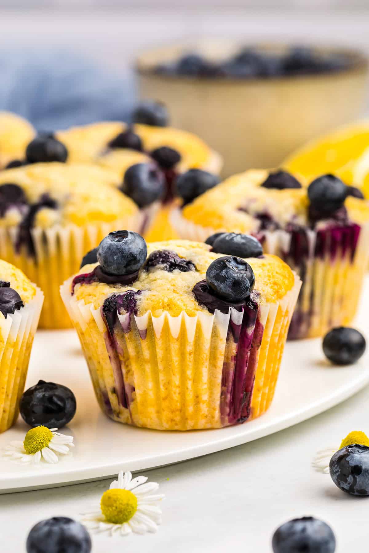 Best Lemon Blueberry Muffins Recipe