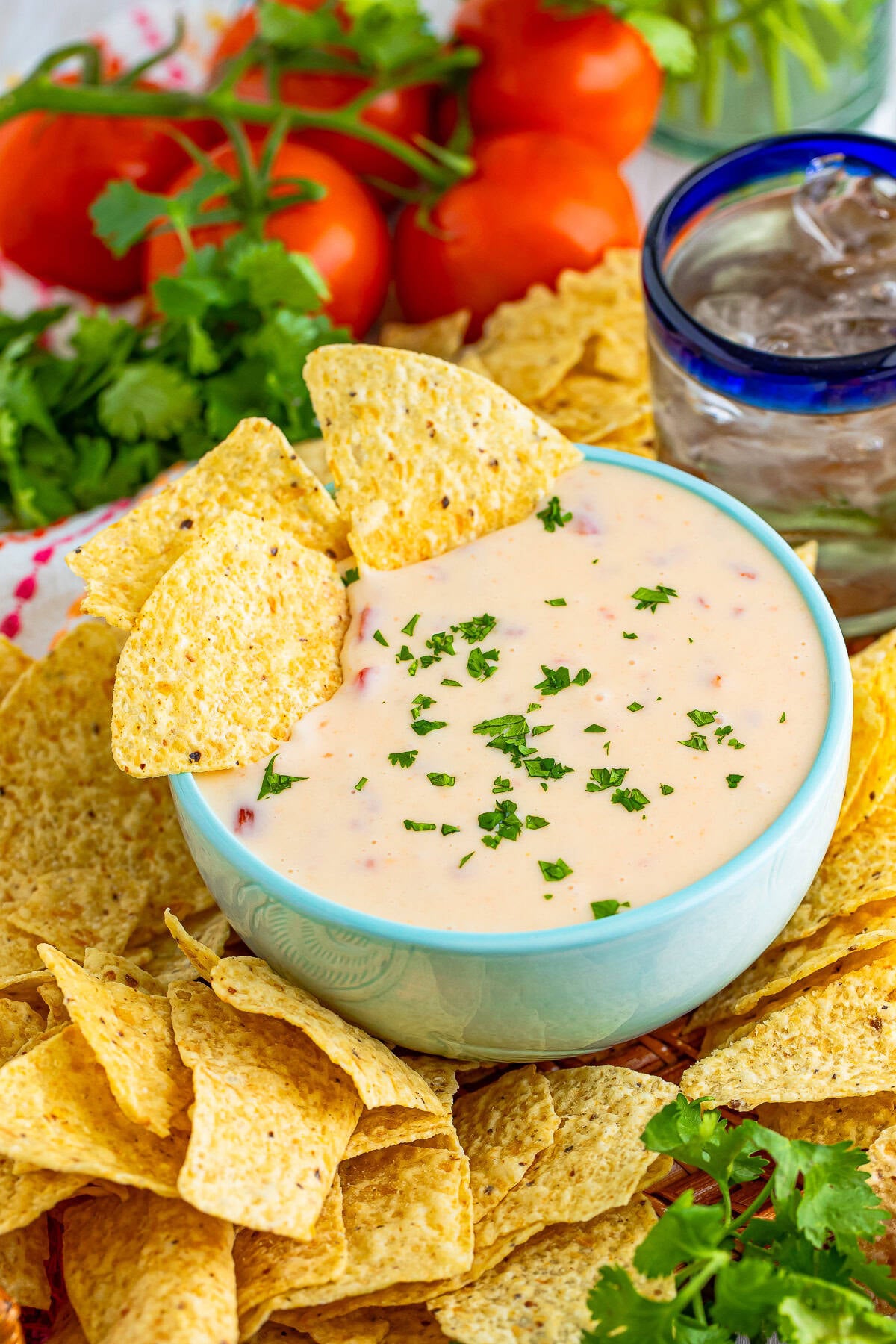 Easy Queso Dip Recipe (Queso Blanco)