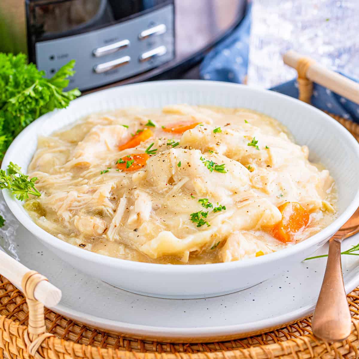 Slow Cooker Chicken and Dumplings