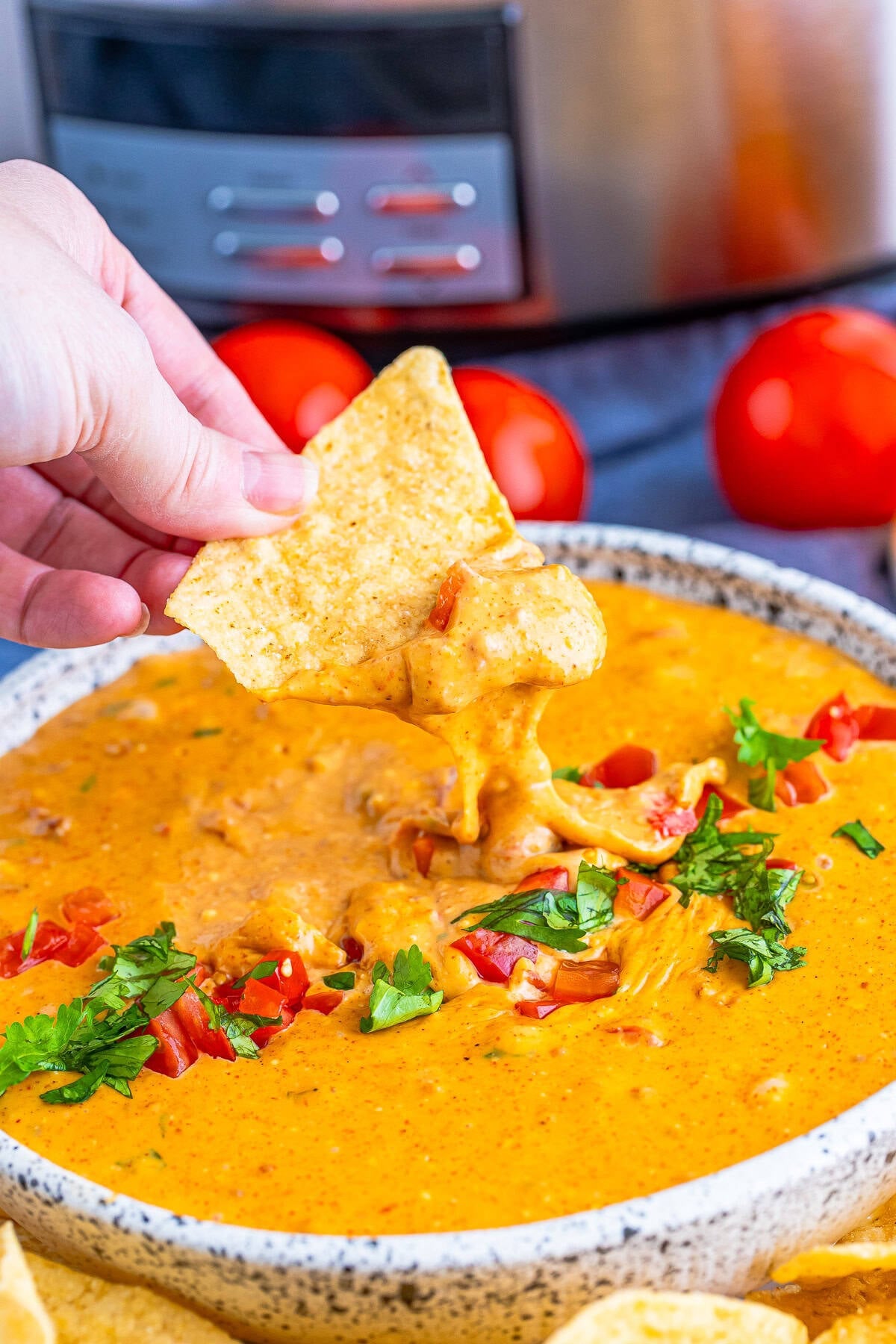 Crock Pot Queso Dip with Chorizo