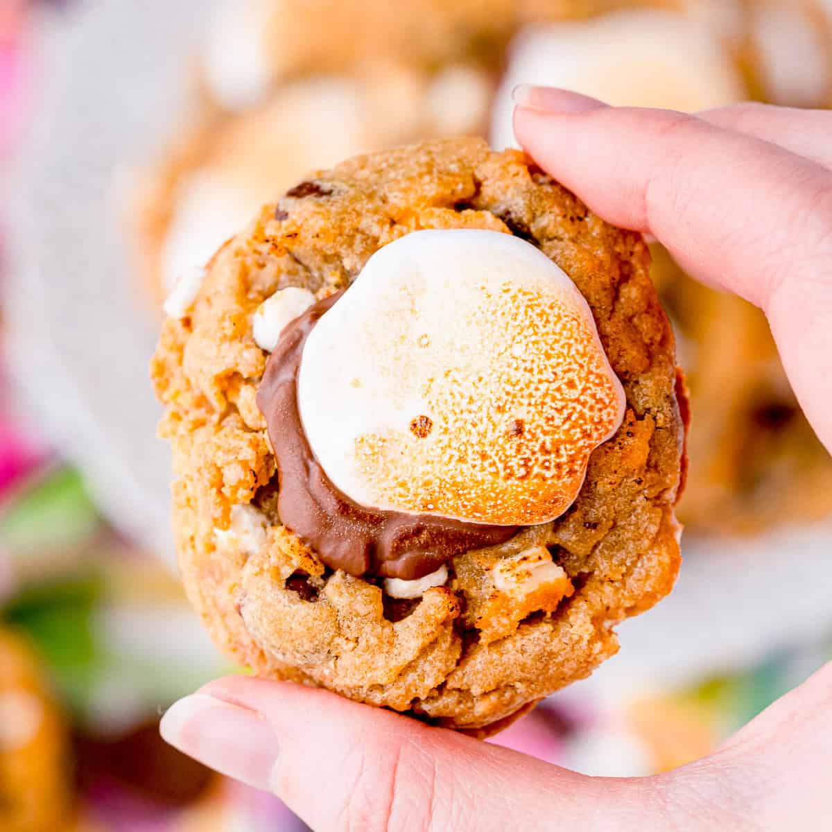 S’mores Cookies