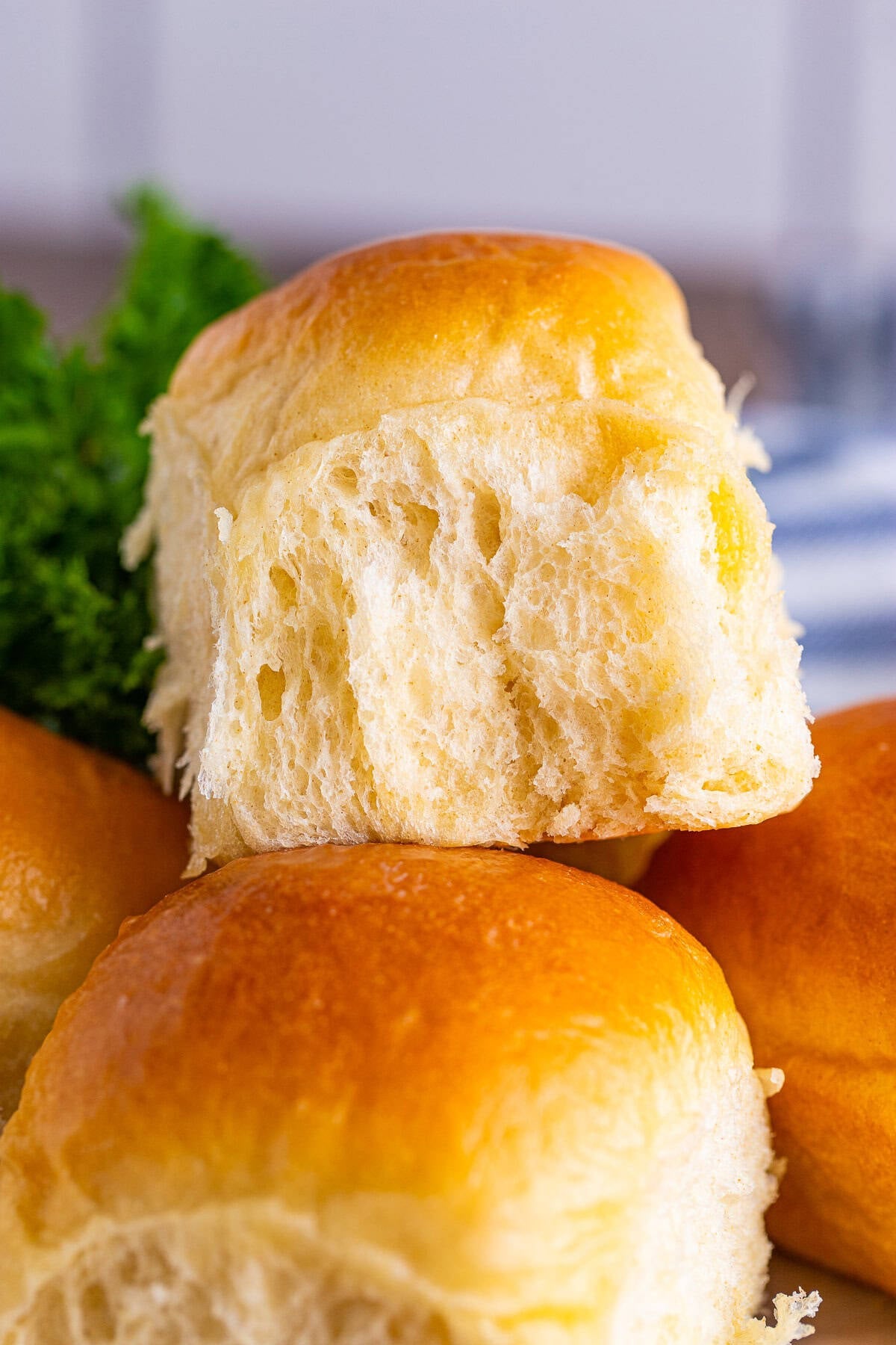 Dinner Roll Recipe