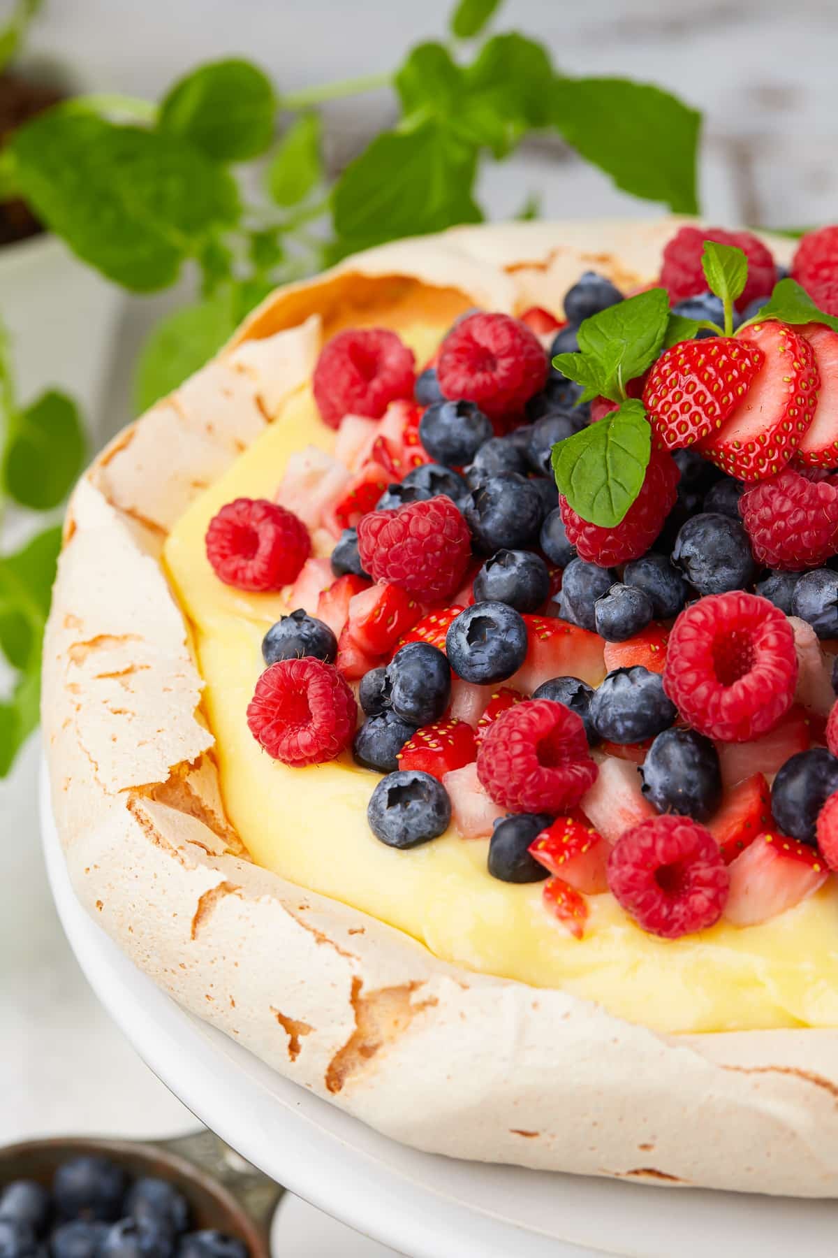 Best Pavlova Recipe with Cream and Berries