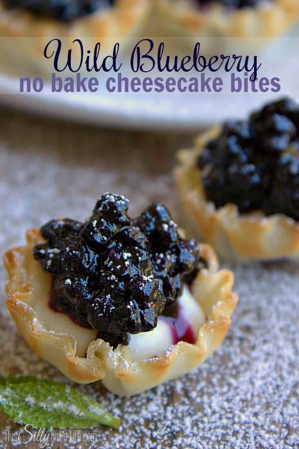 Wild Blueberry No Bake Cheesecake Bites