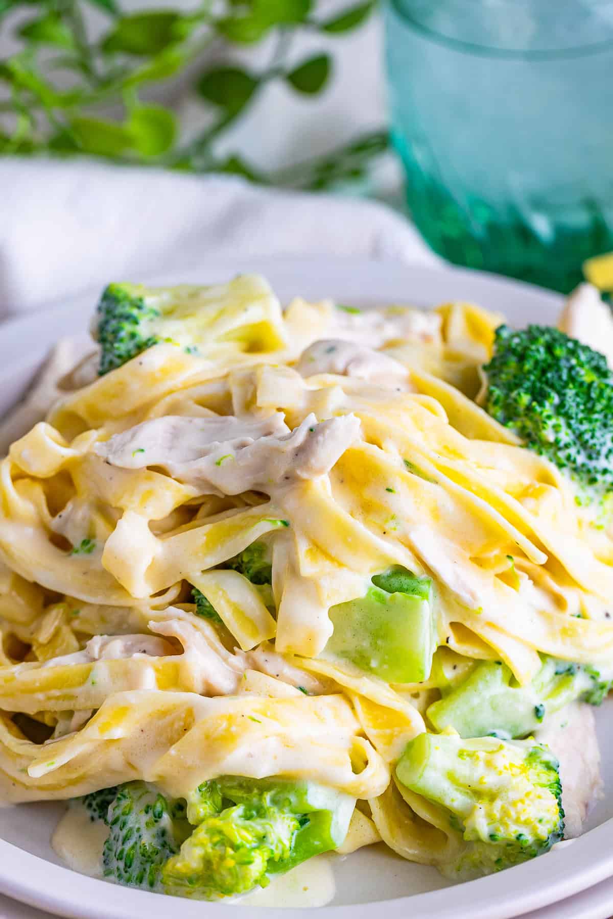 Chicken and Broccoli Fettuccine Alfredo