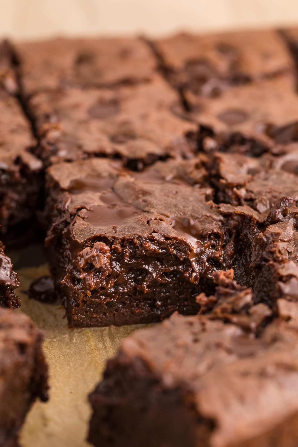Fudgy Sweetened Condensed Milk Brownies