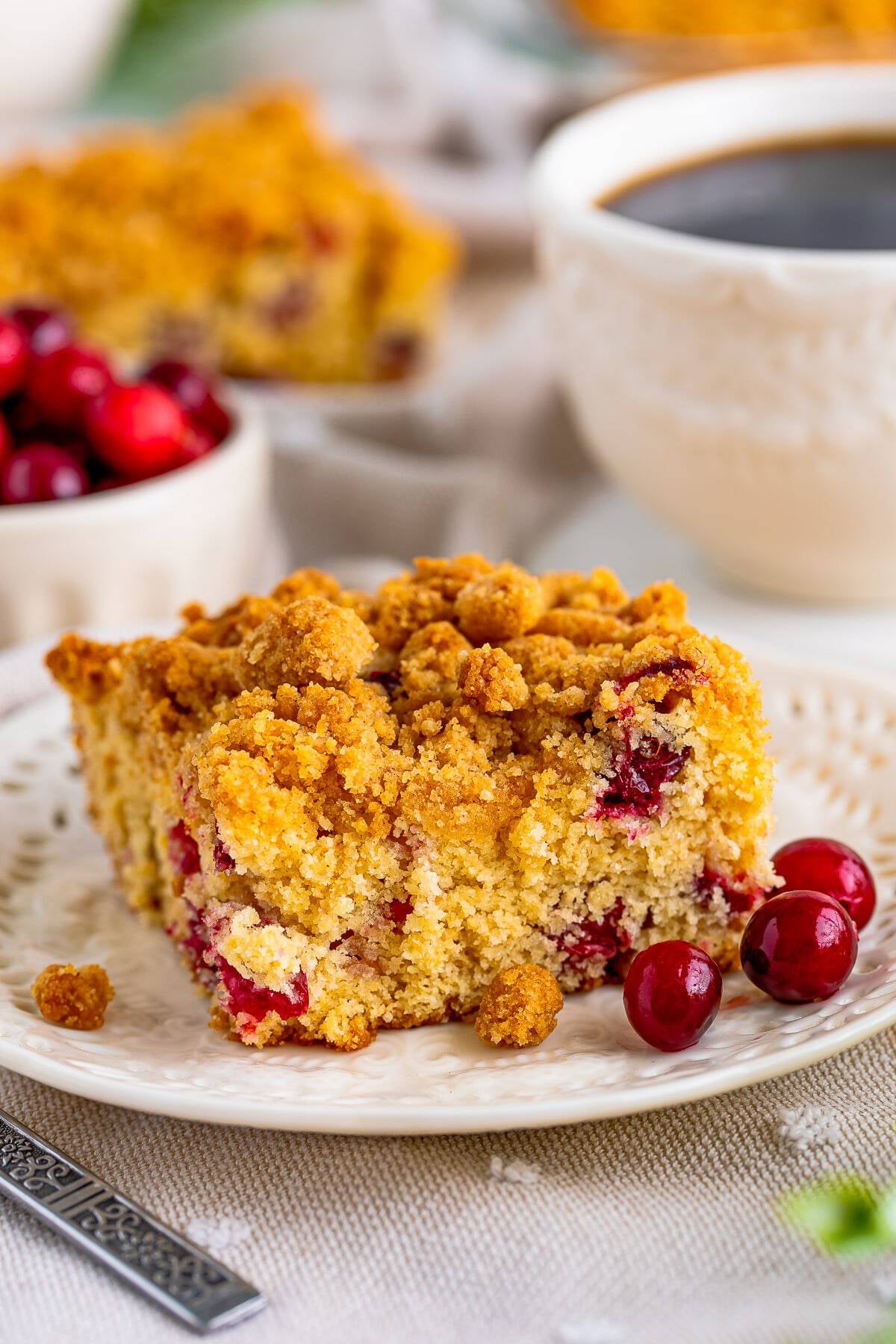 Cranberry Coffee Cake