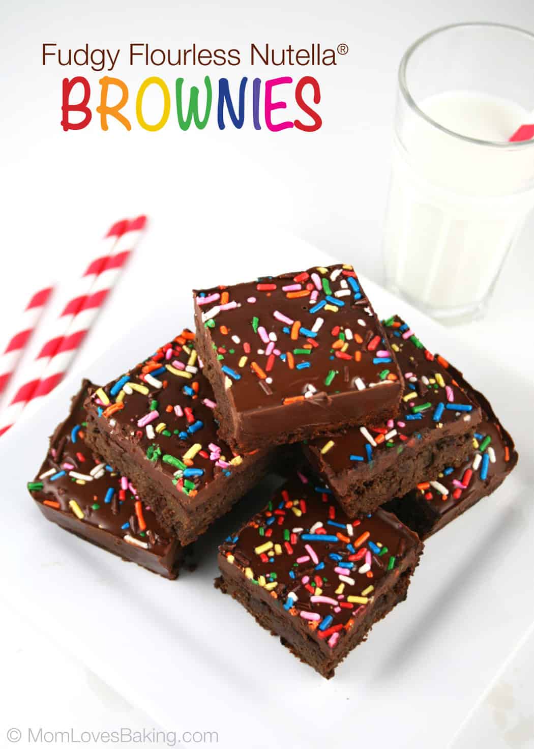 Fudgy Flourless Nutella Brownies {contributor Lise}