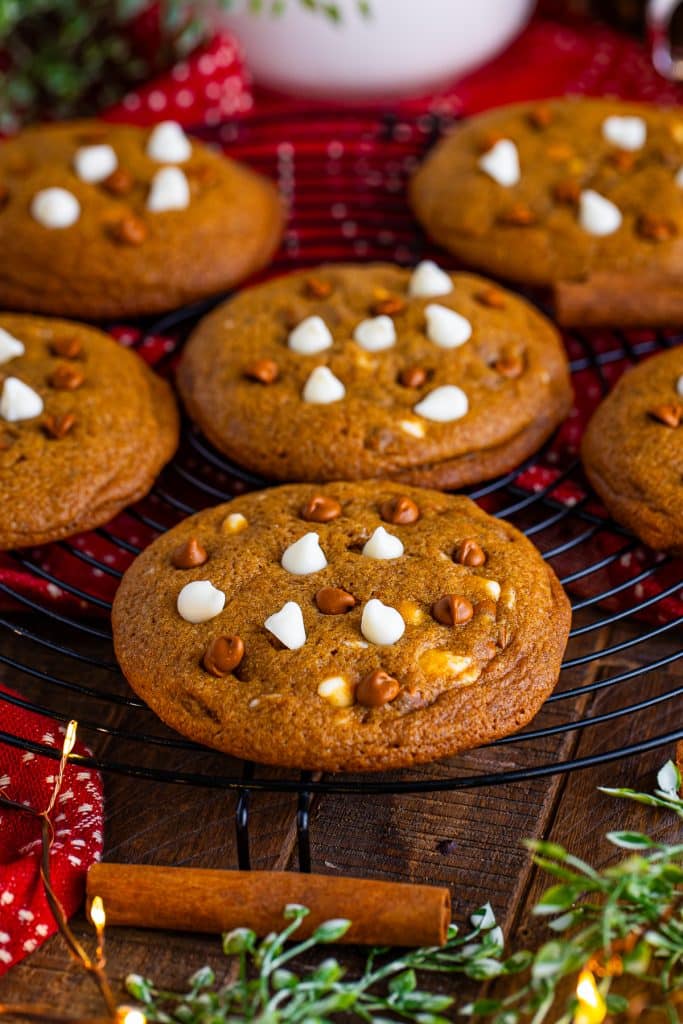 Soft Gingerbread Cookies Recipe with Chocolate Chips