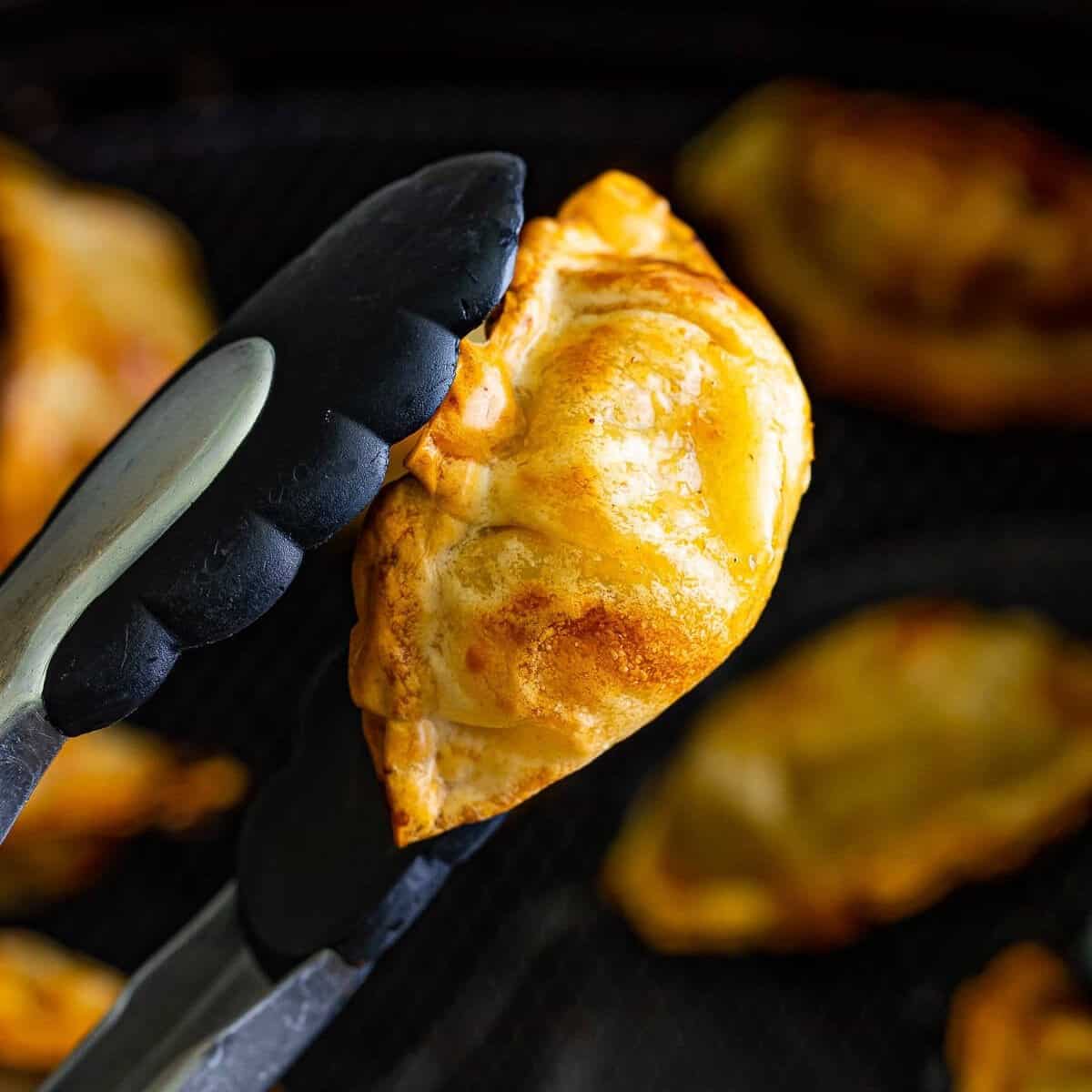Gyoza in Air Fryer (Trader Joe’s Pork Gyoza Potstickers)