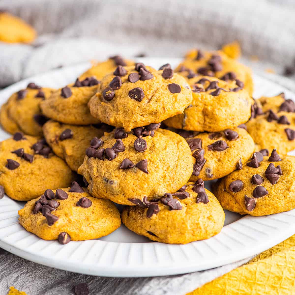 Pumpkin Chocolate Chip Cookie Recipe